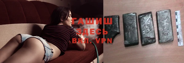 сатива Новодвинск
