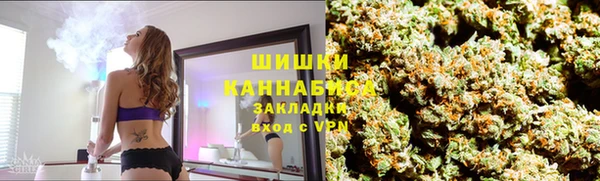 трава Новозыбков