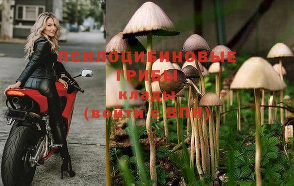 ALPHA PVP Покров